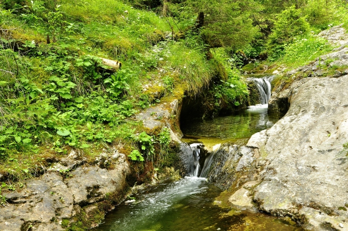 Tůňky jako umyvadla. Nízké Tatry.